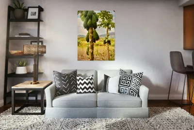 Papaya Trees Reproduction