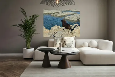 Seal Looking at a Distance Reproduction