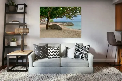 Tree on the Beach Reproduction