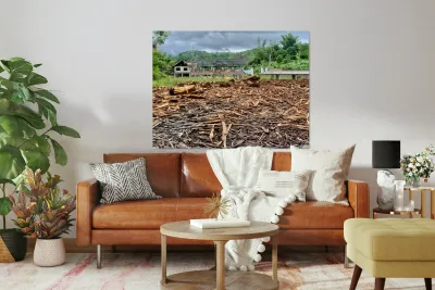 Fading Wood Reproduction