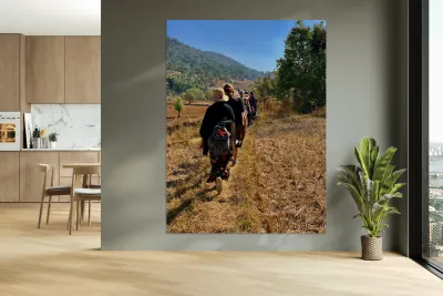 Follow the Path Reproduction