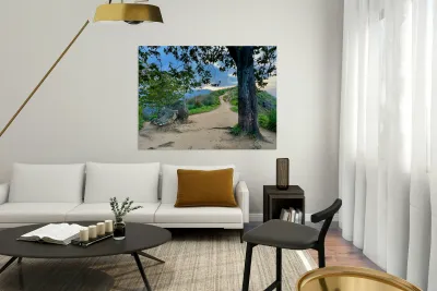 Mountain Path Reproduction