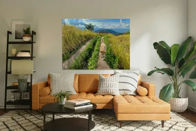 Vagabond Dog Reproduction