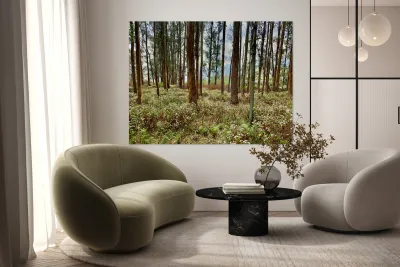 Through the Trees 2 Reproduction