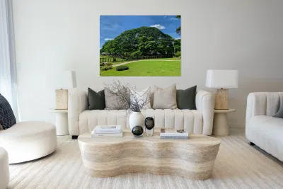 Giant Raintree 2 Reproduction