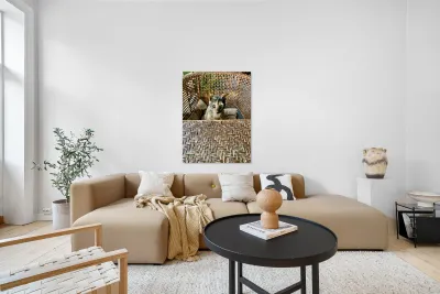 Dating a Cat Reproduction