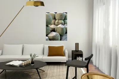 Coconut Stack Reproduction