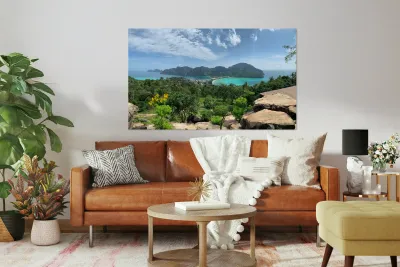 Phi Phi Island Thailand Reproduction