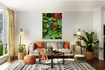 The Blue Butterfly Reproduction