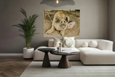 Hello Piggy Reproduction