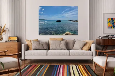 Middle Rock Ocean Reproduction