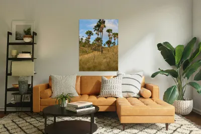 Palm Trees on the Hills Reproduction