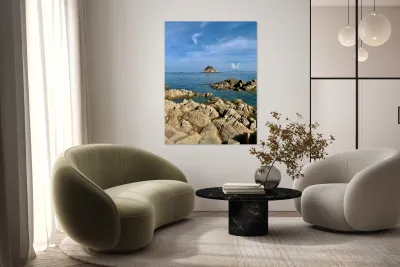 Sharks Island Koh Tao Thailand Reproduction