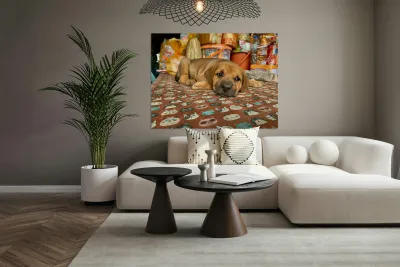 Sleepy Puppy Reproduction