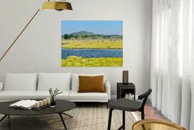 Yala National Park Sri Lanka Reproduction