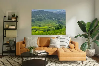 Rice Fields in Sapa 1 Reproduction