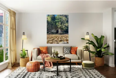 Abel Tasman National Park New Zealand 2 Reproduction