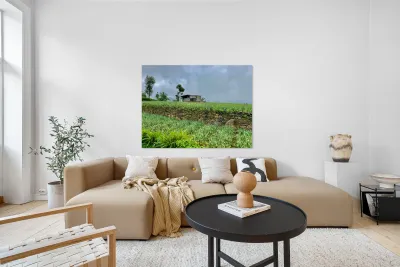 Leveled Field House Reproduction