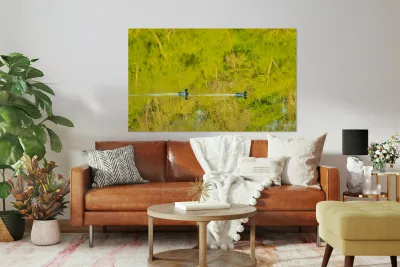 Two ducks floating through reflection of sunlit trees Reproduction