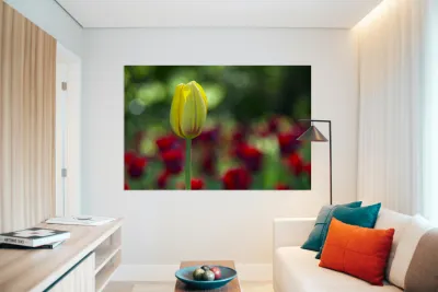 The Yellow One Reproduction