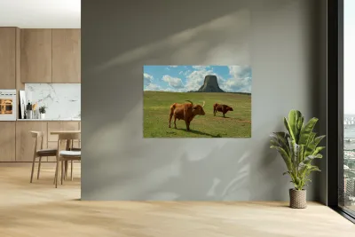 Longhorn Cattle and Devils Tower Reproduction