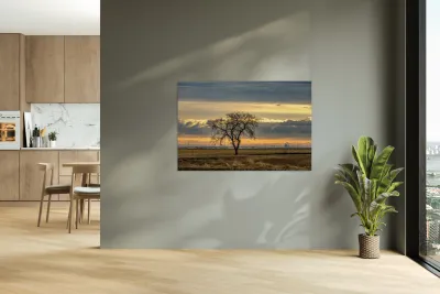 Lone Tree at Sunrise Reproduction