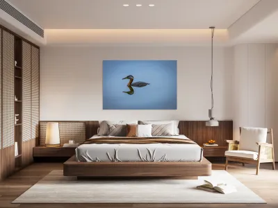 Duck Reflection Reproduction