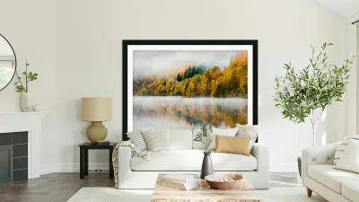 Autumn Mist Reproduction