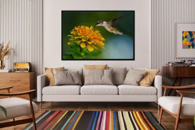 Hummer seeks the nectar Reproduction