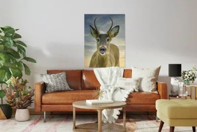 Feed me   Reproduction