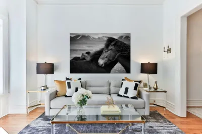 Icelandic Horses Reproduction