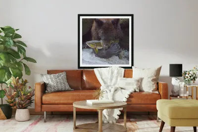 Bear greets Fish Reproduction