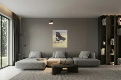 Harris hawk on the wing Reproduction