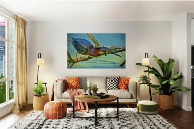  Green Heron Reproduction