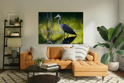 Blue Heron fishing Reproduction