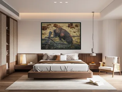 Bison leaping Reproduction