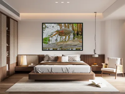 Green Heron doing dinner  Reproduction