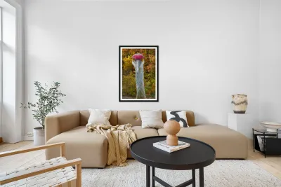 Sandhill crane Reproduction