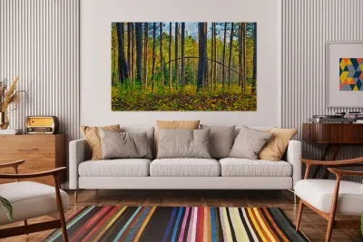 Bent tree in the forest  Reproduction