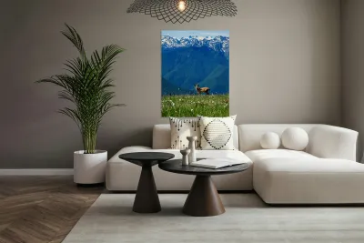 Olympic mountain range Reproduction