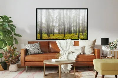 Morning mist near Lutsen Reproduction