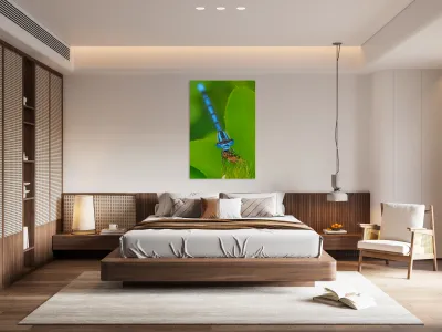 Damselfly and bee Reproduction