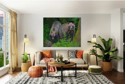 Alaskan Grizzly Bears Reproduction