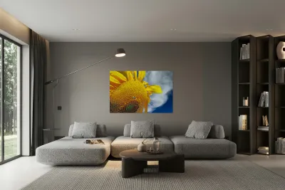 Bee on sunflower Reproduction