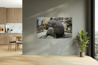 New Zealand fur seals Reproduction