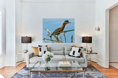 Green heron bristling Reproduction