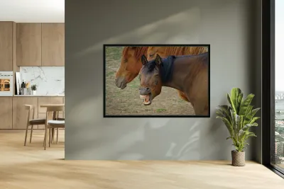 Washington horses Reproduction