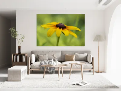 Brown Betty Reproduction