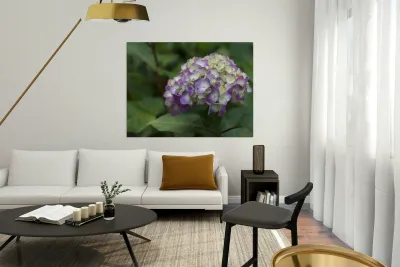 Endless Summer Reproduction