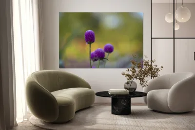 Globe Amaranth Reproduction